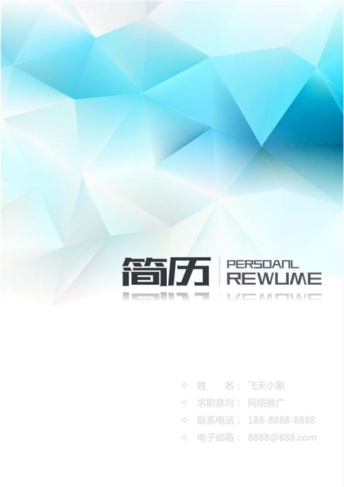 网络技术服务简历模板